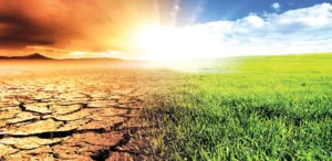 India's Climate Minister Just Revealed the Real Plan for Green Living